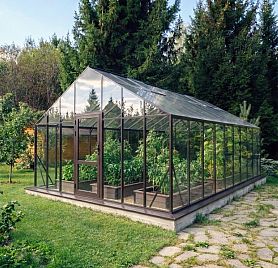 БИОНИКА Гранд